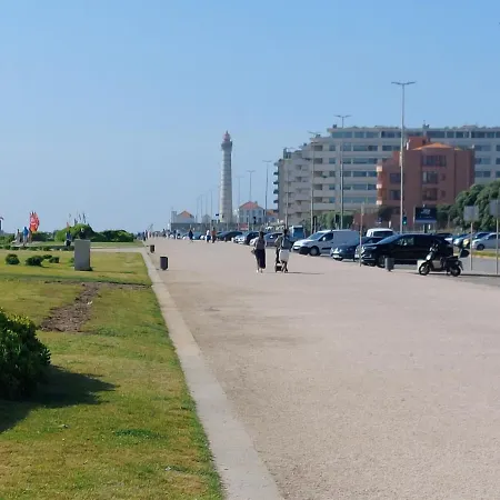 Sea & * 레카다팔메이라